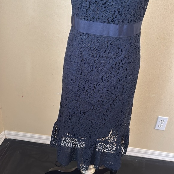 Banana Republic Navy Lace Dress 4 - Picture 3 of 8